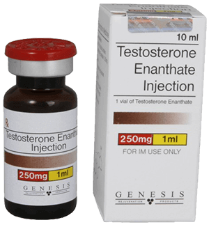 prise de masse musculaire testostérone